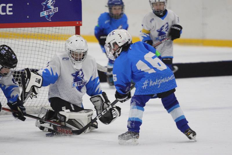 Huskies Cup v Teplicích