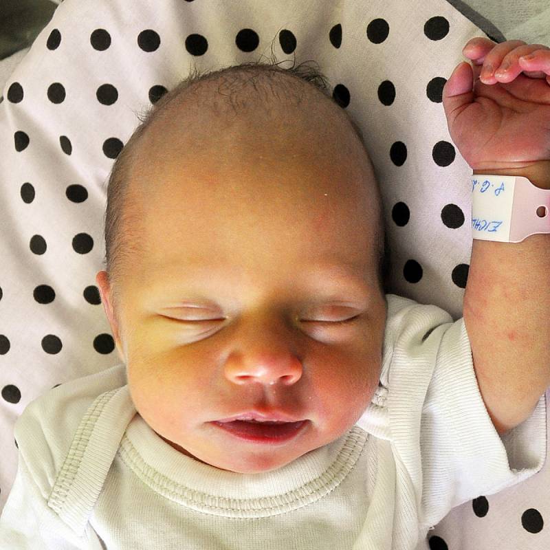 Alice Eichlerová se narodila Ireně Eichlerové z Teplic 8. června  v 8.27 hod. v teplické porodnici. Měřila 47 cm a vážila 2,65 kg.