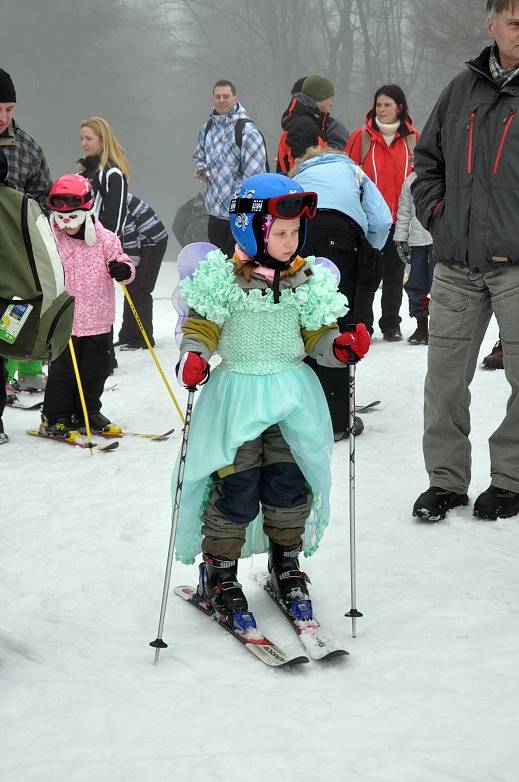 Karneval na Komáří vížce