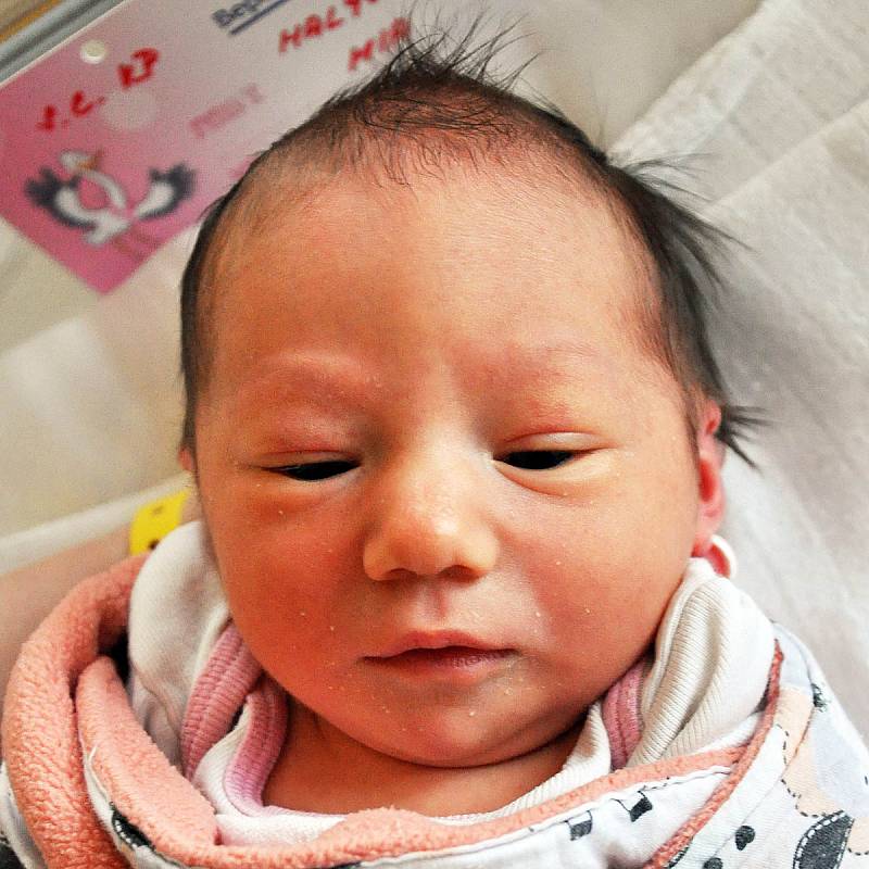Mia Malyševská se narodila Michaele Kučírkové z Teplic 5. března v teplické porodnici v 10,50 hodin. Měřila 48 cm, vážila 3,20 kg.
