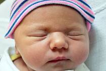 Marie Ciplová se narodila Marii Ciplové z Břežan 20. dubna 2022 v  2,56 hodin v teplické porodnici. Měřila 50 cm, vážila 3,55 kg.