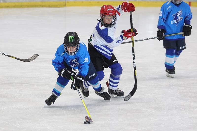 V Plzni se hrál hokejový turnaj Wolves Cup pro ročníky 2013