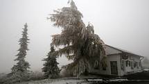První sněhový poprašek se objevil 12. listopadu na Cínovci