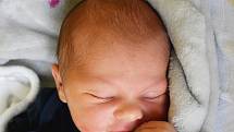 Matěj Zeithammer se narodil Michaele Nováčkové z Teplic 3. srpna v 6,25 hodin v teplické porodnici. Měřil 48 cm, vážil 3,40 kg.