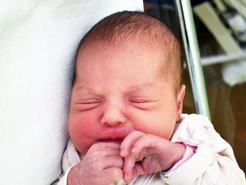 Nikol Vítů se narodila Michaele Vítů z Teplic  8. srpna v 17,05 hodin v teplické porodnici. Měřila 49 cm, vážila 3,60 kg.