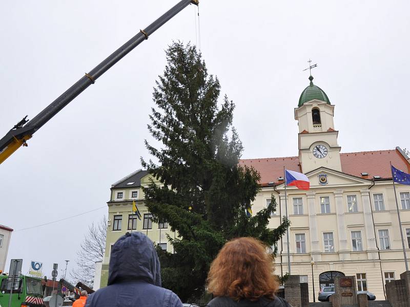 V pondělí 20. listopadu přivezli na náměstí Svobody do Teplic vánoční strom.