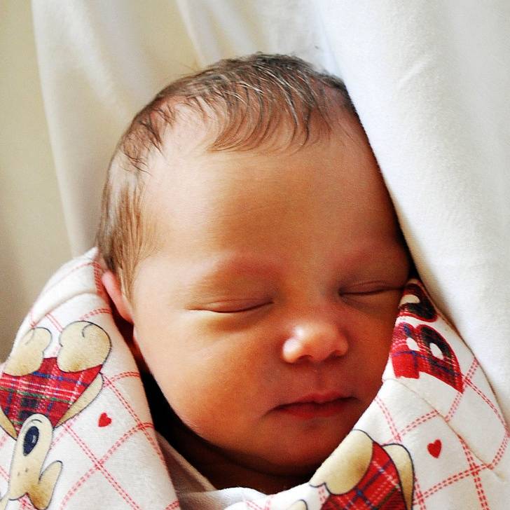 Veronika Lhotáková se narodila Petře Březinové z Teplic 13. července  v 19.06 hod. v teplické porodnici. Měřila 51 cm a vážila 3,4 kg.