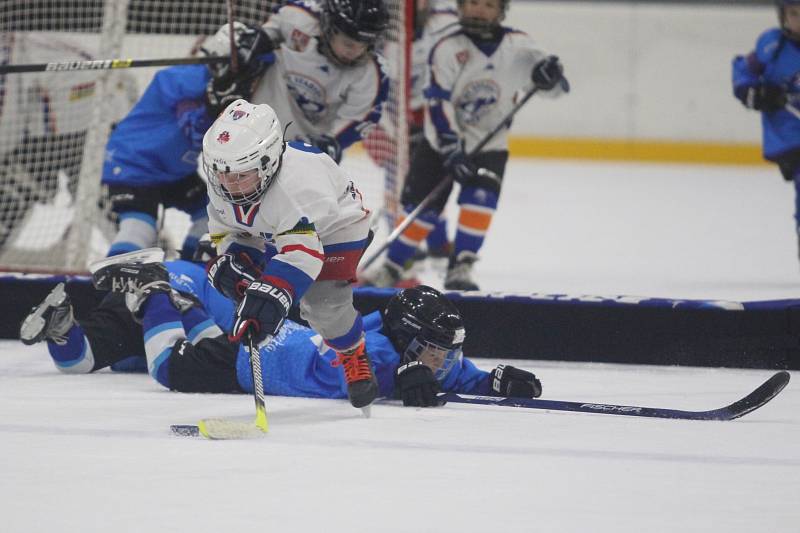 Huskies Cup v Teplicích