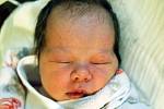 Mamince Renatě Sojkové z Dubí se 22. listopadu ve 4.55 hod. v teplické porodnici narodila dcera Abigeil Sojková. Měřila 49 cm a vážila 3,5 kg.