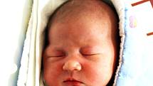 Mia Pechová se narodila Kateřině Pechové z Duchcova 2. ledna ve 14.51 hod. Měřila 54 cm, vážila 4,29 kg