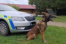 Zloděje nafty pomohl dopadnout policejní pes Ares.
