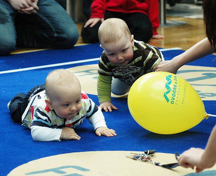 Celkem 98 malých lezounů se sešlo v Olympia centru na svém prvním závodě