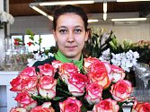 Floristka Markéta Plzáková nabízí růže ke svátku MDŽ v Zahradnictví Dvořák a syn.
