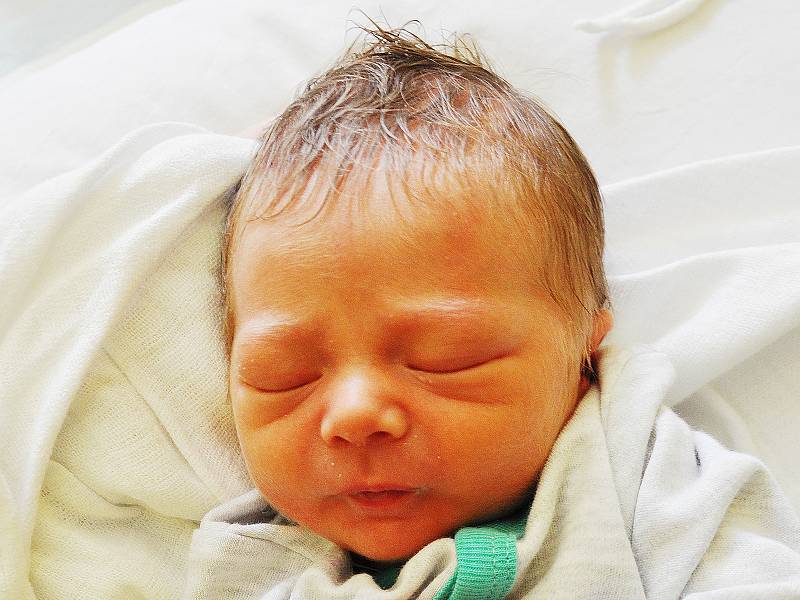 Martin Holan se narodil Kateřině Holanové z  Teplic 18. srpna v 4,20 hodin v teplické porodnici. Měřil 46 cm, vážil 2,40 kg