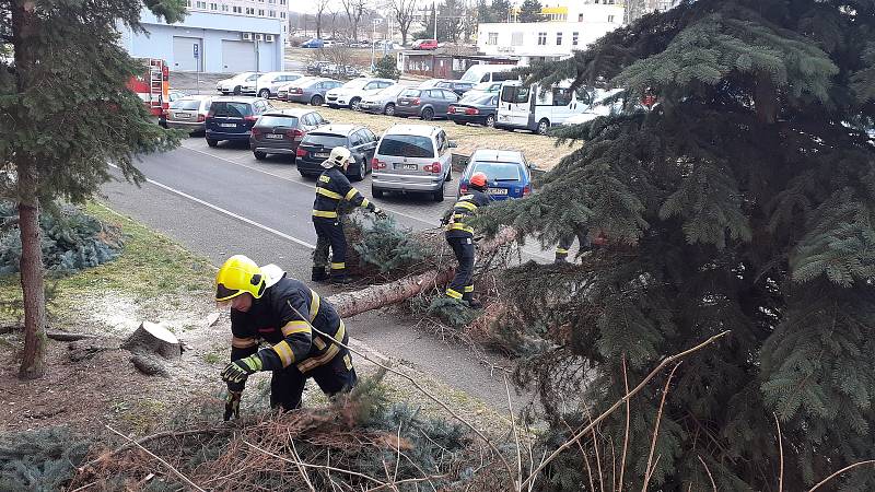 Rovná ulice v Teplicích. V neděli 30. ledna odpoledne sem hasiči přijeli pokácet strom, který vítr nakláněl a vyvracel z kořenů. Hrozilo, že padne na auta a silnici.