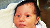 Leontýna Morkesová se narodila Lucii Morkesové z Teplic 27. května v 15,21 hodin v teplické porodnici. Měřila 50 cm, vážila 2,95 kg.