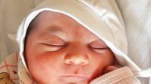Noemi Žigová se narodila Marcele Žigové z Prahy 9. listopadu  ve 4.16  hod. v teplické porodnici. Měřila 50 cm a vážila 3,7 kg.