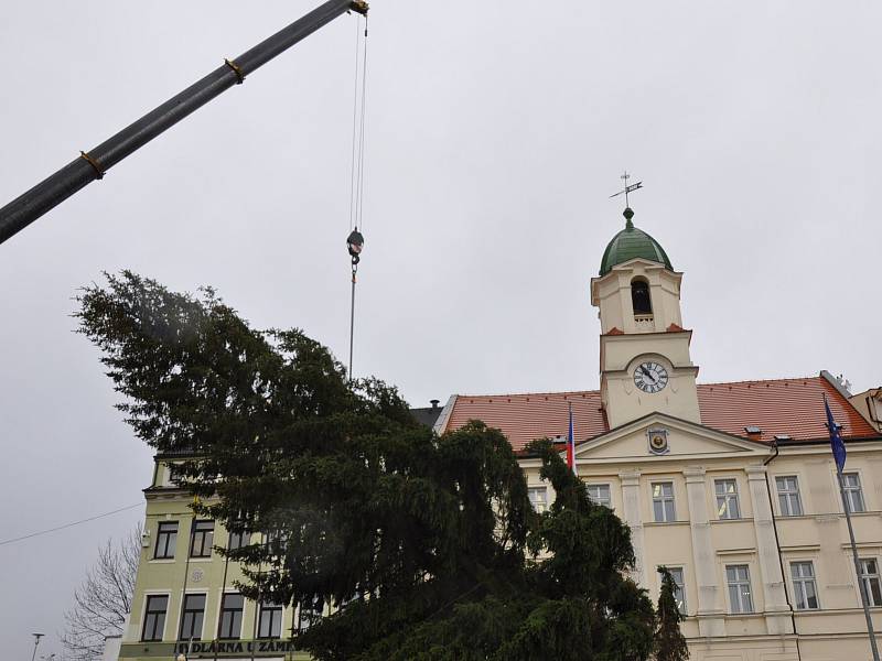 V pondělí 20. listopadu přivezli na náměstí Svobody do Teplic vánoční strom.