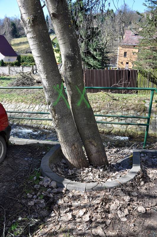  Část stromů v ulici Karolíny Světlé v Dubí půjde k zemi a část zůstane.