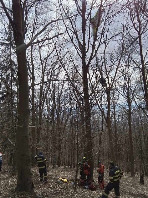 Paraglidista uvízl v Horní Krupce na stromě.
