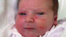 Lucii Skřivánkové z Bíliny se v teplické porodnici 19. listopadu v 0.17 hod. narodil syn Adam Skřivánek. Měřil 50 cm a vážil 4,20 kg.