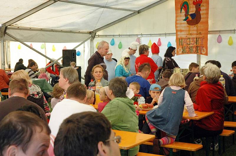 V ústavu sociální péče v Háji u Duchcova se konal VII. ročník oblíbeného festivalu Hájský kohout