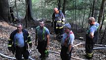 Několik hasičských vozů s Teplicka a okolí zasahovalo při požáru pod horou Stropník nedaleko Oseka. Neschůdný teren dával hasičům zabrat.