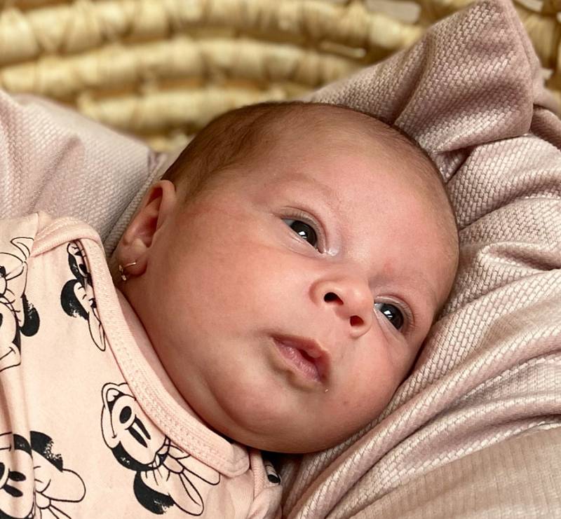 Stella Stiborová se narodila mamince Haně Preislerové a otci Janu Stiborovi v teplické porodnici 5. února. Měřila 47 cm a vážila 2850 gramů.