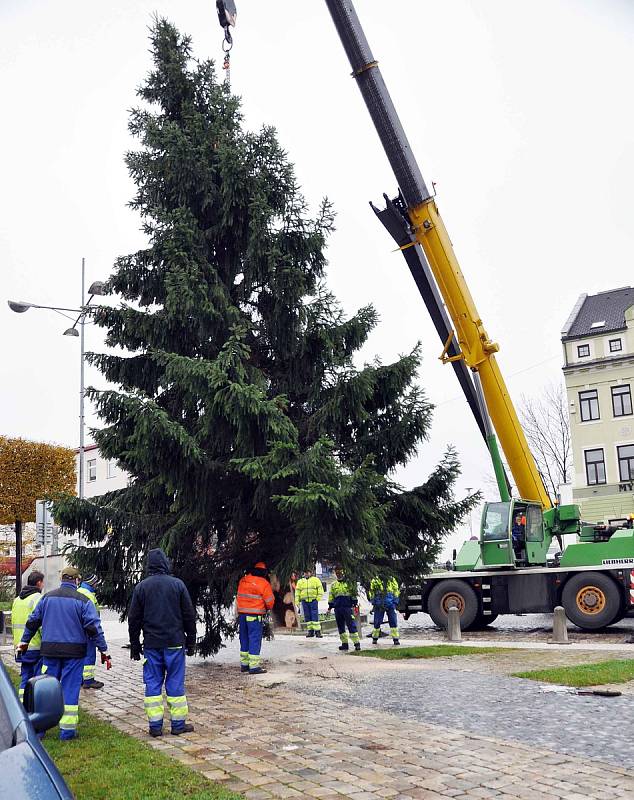 Teplice budou mít letos sedm vánočních stromů.