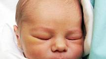 Mamince Romaně Hlaváčkové z Novosedlic se 16. ledna ve 13.25 hod. v teplické porodnici narodil syn Richard Braun. Měřil 49 cm a vážil 3,30 kg.