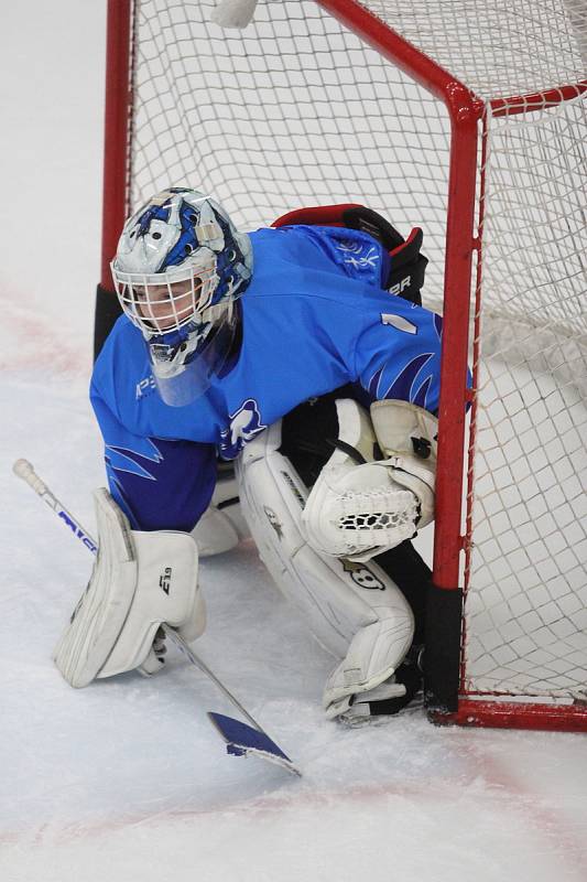 Hokejový turnaj Huskies Cup pro ročníky 2011