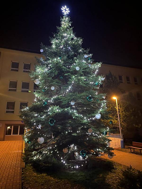Vánoční strom před školou v Bystřanech