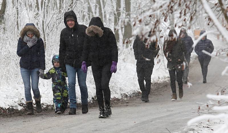 Lidé o Božím hodu vánočním vyrazili do přírody. Například na Komáří Vížku na Teplicku nebo do Adolfova na Ústecku