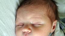 Oliver Šafařík se narodil Denise Šafaříkové z Teplic 25. ledna v teplické porodnici v 14,23 hodin. Měřil 53 cm, vážil 3,85 kg.