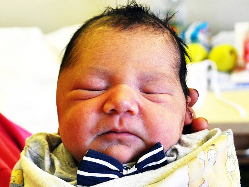 Mia Patricia Pulková se narodila Marii Pulkové z Bíliny 3. ledna  ve 22.16  hod. v teplické porodnici. Měřila 46 cm a vážila 2,9 kg.