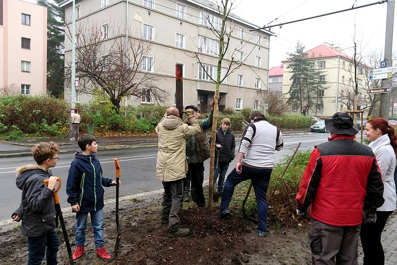 V  severních Čechách se bude na podzim sázet ve velkém.