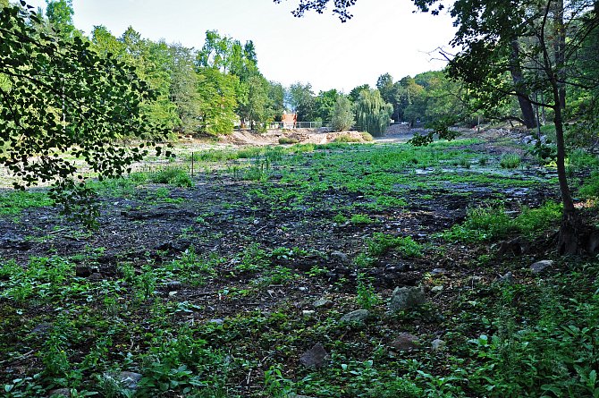 Odbahnění Dolního rybníku v Zámecké zahradě v Teplicích.