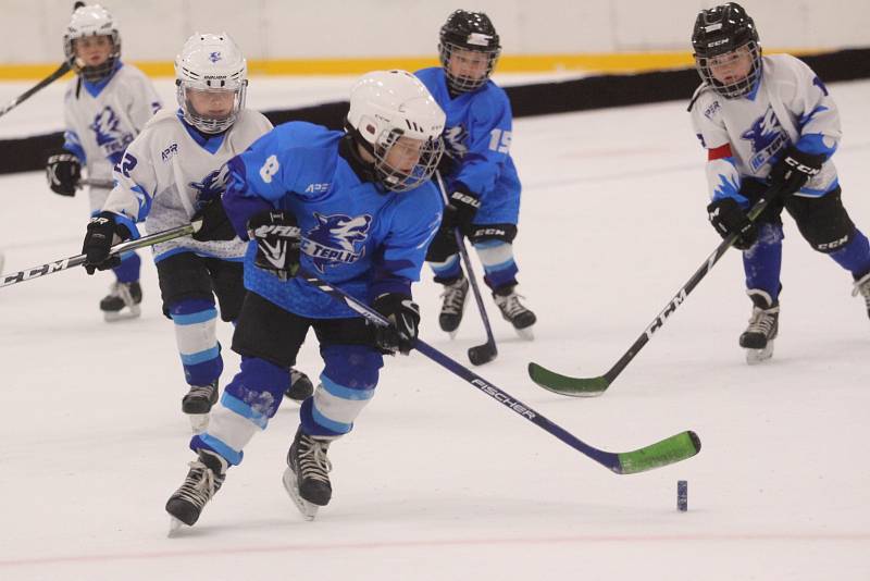 Huskies Cup v Teplicích