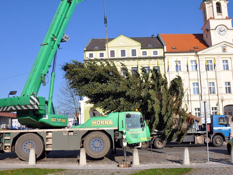 Vánoční smrk přivezli do Teplic z Černčic