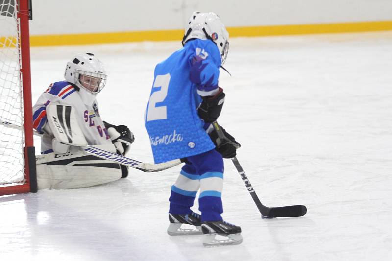 Huskies Cup v Teplicích