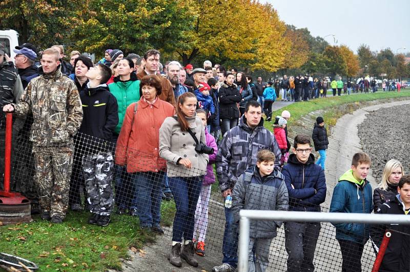 Výlov městského rybníku Barbora v Duchcově. 