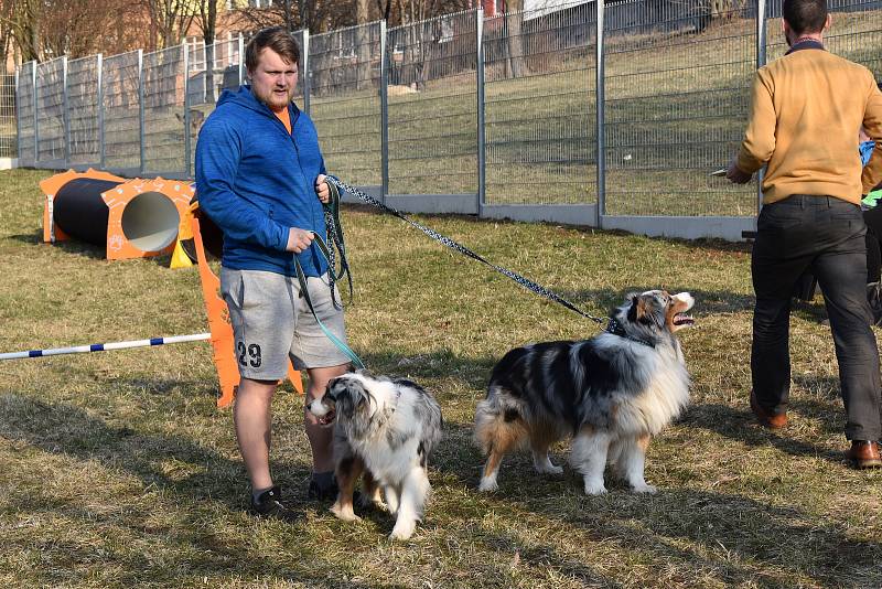 Slavnostní otevření veřejného hřiště pro psí agility v Trnovanech.