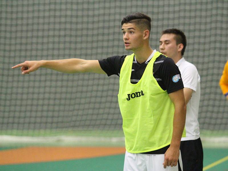 Svarog Teplice - Ocel Třinec 9:0