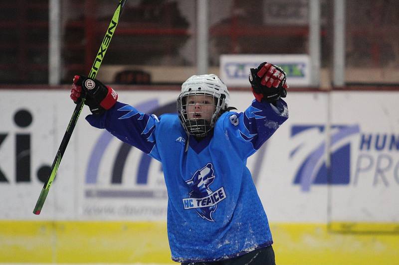 HC Teplice Huskies na turnaji v Maďarsku