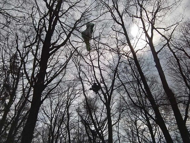 Na stromě v Horní Krupce uvízl paraglidista. Zachránili jej hasiči