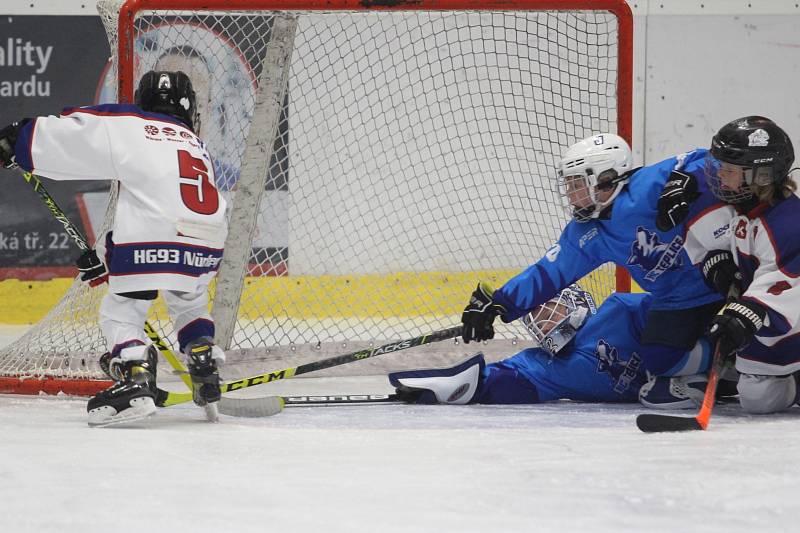 V Plzni hrály hokejový turnaj týmy ročníků 2013