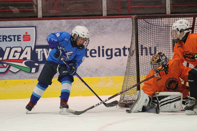 HC Teplice Huskies na turnaji v Maďarsku