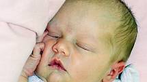 Adéla Jedličková se narodila Kláře Machové z Teplic 4. července  v 0.55 hod. v teplické porodnici. Měřila 47 cm a vážila 3,05 kg.