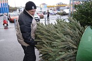 Prodej vánočních stromků v Teplicích
