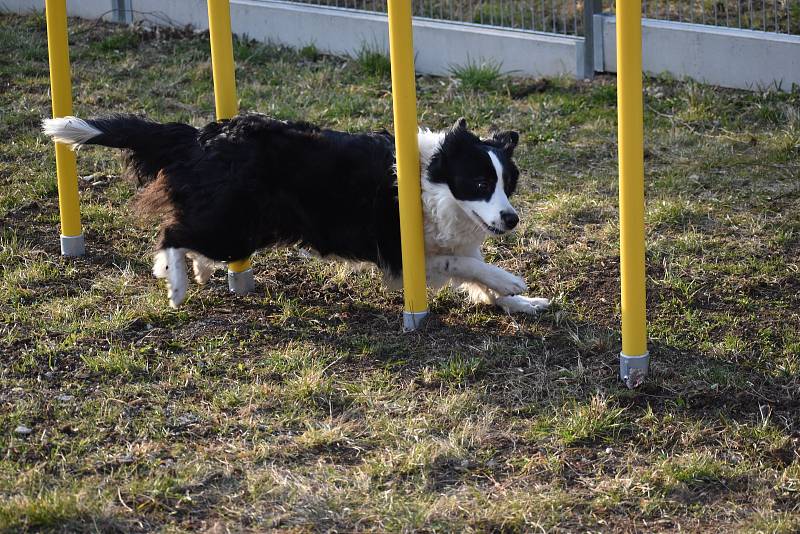 Slavnostní otevření veřejného hřiště pro psí agility v Trnovanech.